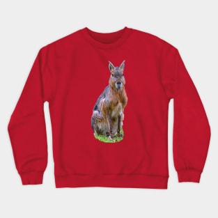 Alert Mara Crewneck Sweatshirt